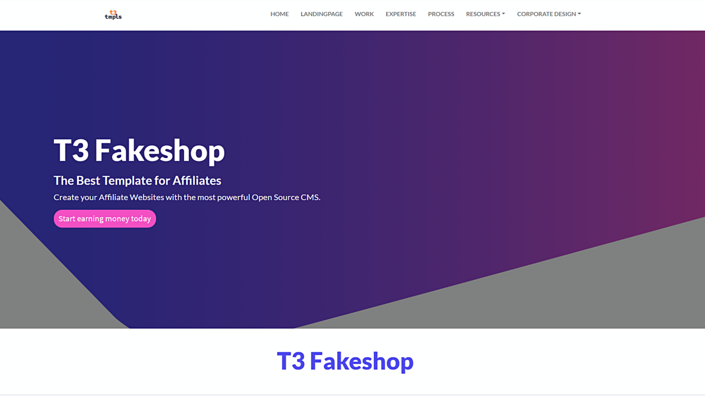 T3 Fakeshop product image